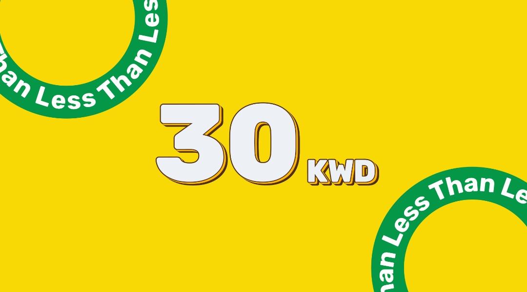 Toys Under 30 KD!