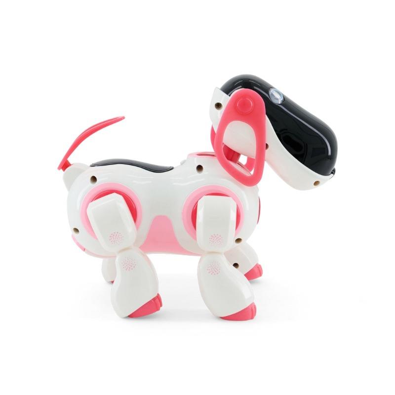 New Girl Smart Dog