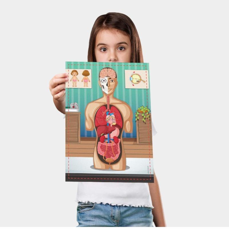 Science4you Human Body