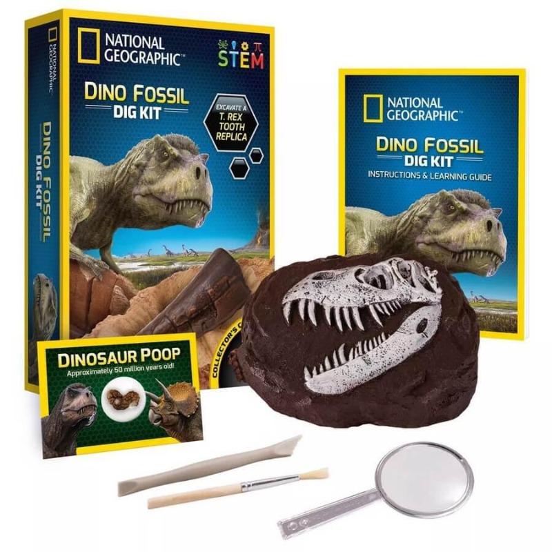 National Geographic Dino Fossil Dig Kit