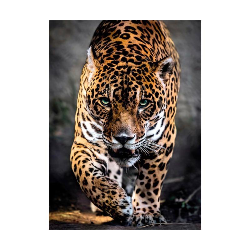Clementoni - Walk Of The Jaguar Puzzle 1000 Pcs