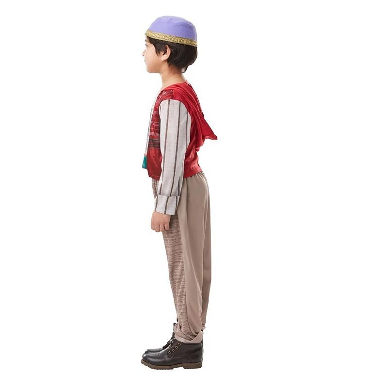 Disney Aladdin Costume