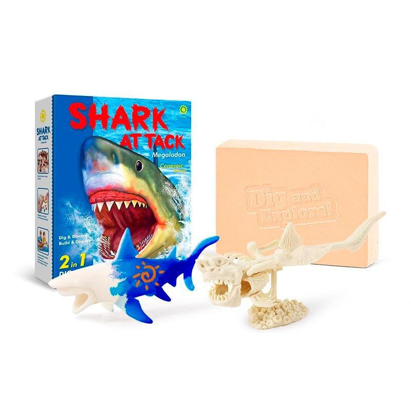 Shark Attack Digs And Paints Megalodon