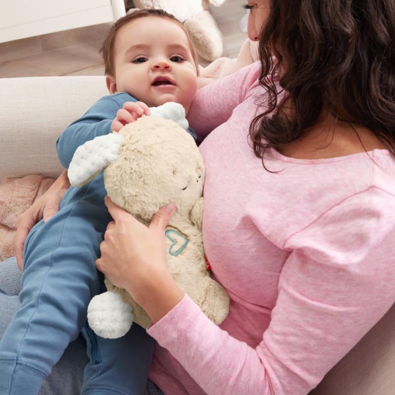 Fisher Price Soothe and Settle Bunny Plush Sound Machine