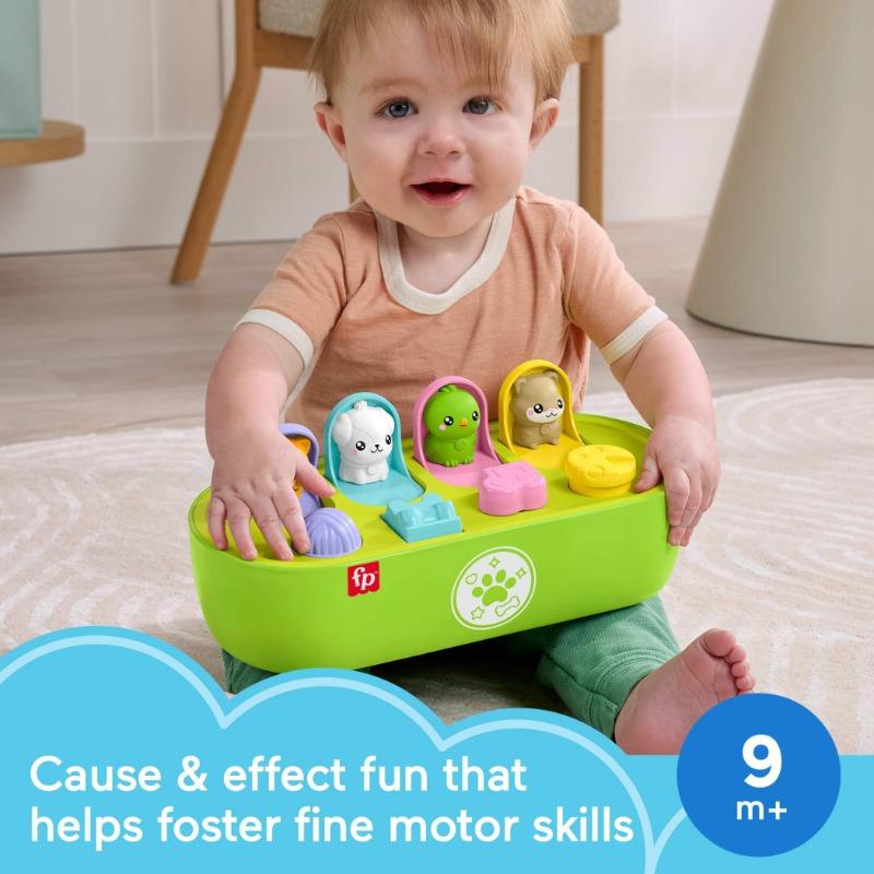 Fisher Price FP Pets Fine Motor Pop Up Activity Toy
