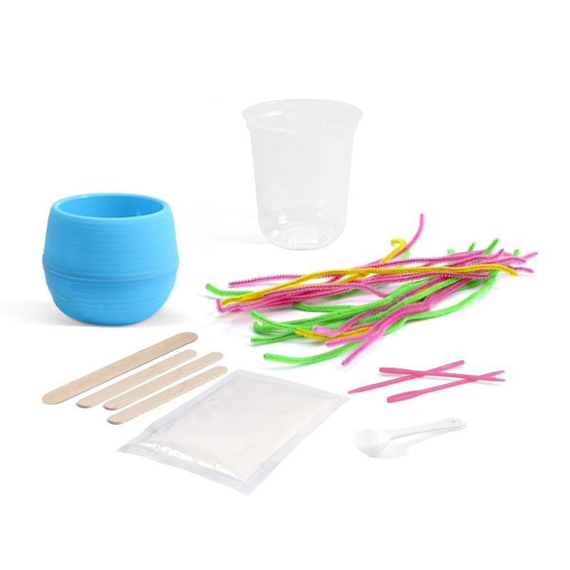 Crystal Flower Growing Kit