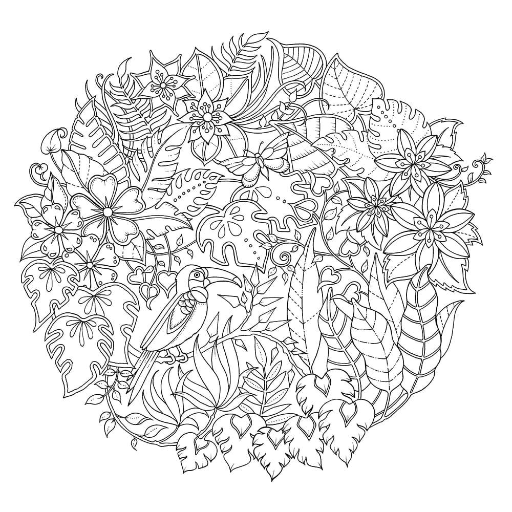 Magical Jungle An Inky Expedition And Coloring Book