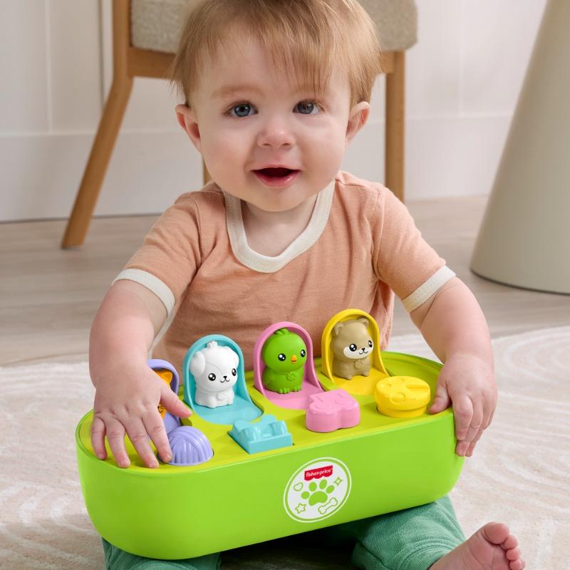 Fisher Price FP Pets Fine Motor Pop Up Activity Toy