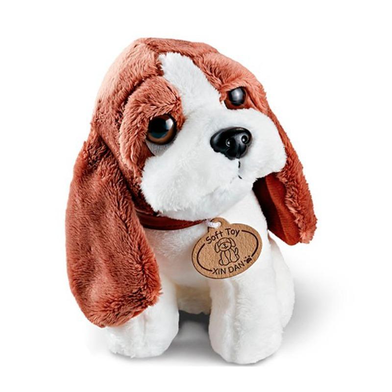 Pet Care Medical Set