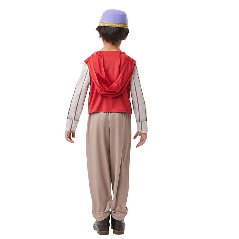 Disney Aladdin Costume