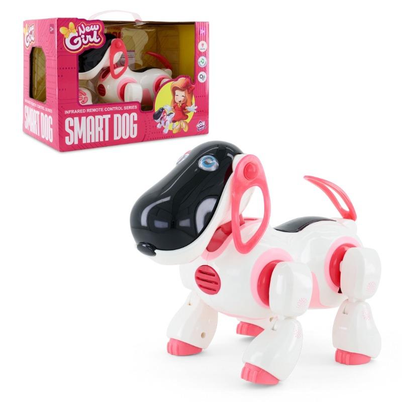 New Girl Smart Dog