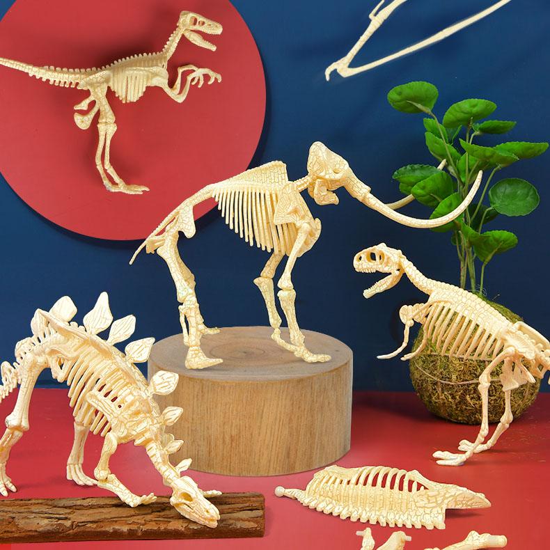 Mideer Dinosaur Collectible - Stegosaurus