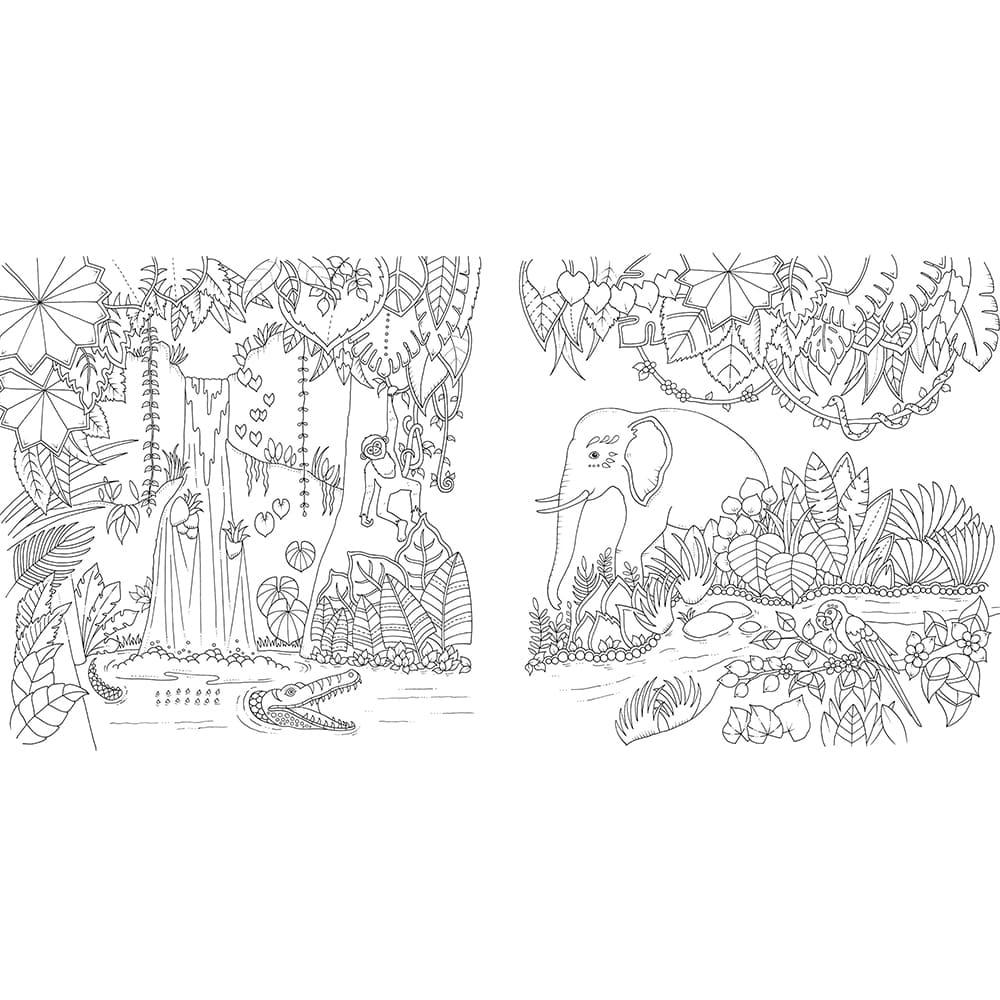 Magical Jungle An Inky Expedition And Coloring Book